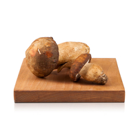 Funghi Porcini